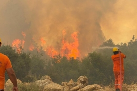Antalya Orman Yangınları: Manavgat Felaketi ve Alınan Önlemler
