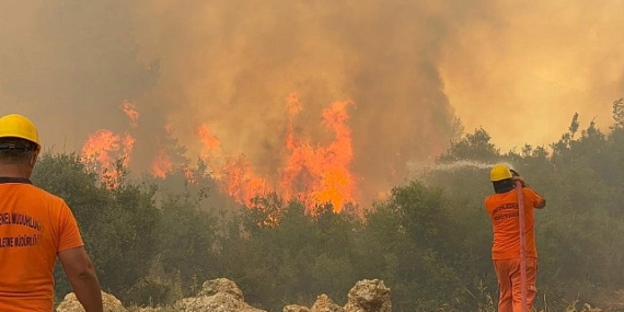 Antalya Orman Yangınları: Manavgat Felaketi ve Alınan Önlemler