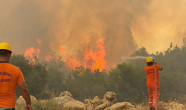 Antalya Orman Yangınları: Manavgat Felaketi ve Alınan Önlemler