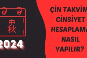 Çin Takvimi Biyolojik Takvim Cinsiyet Hesaplama Nasıl Yapılır?