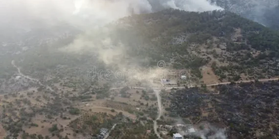 Mersin Silifke’de Orman Yangını: Ekipler Amansız Mücadele Veriyor