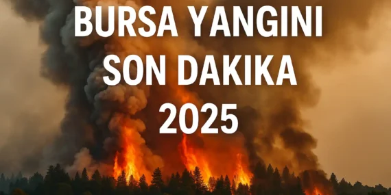 Bursa Yangını Son Dakika 2025: Gürsu’da Ormanlık Alanda Korkutan Yangın!