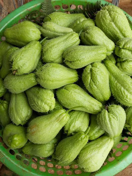 Chayote and Lemon for Wellness: A Natural Option to Support Circulation, Energy Levels, and Joint Comfort
