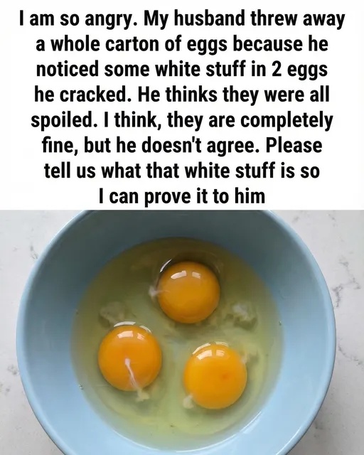 That White Strand in Your Egg Isn’t a Flaw — Here’s What It Means