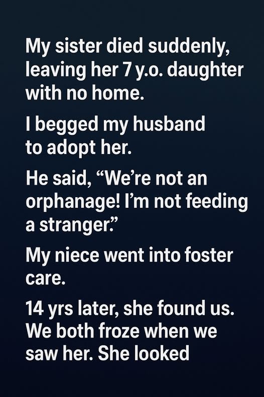 After 14 Years Apart, My Niece Returned and Taught Me a Powerful Lesson About Family