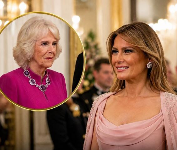 Melania Trump Wears Elegant Pale Pink Dress at White House State Dinner