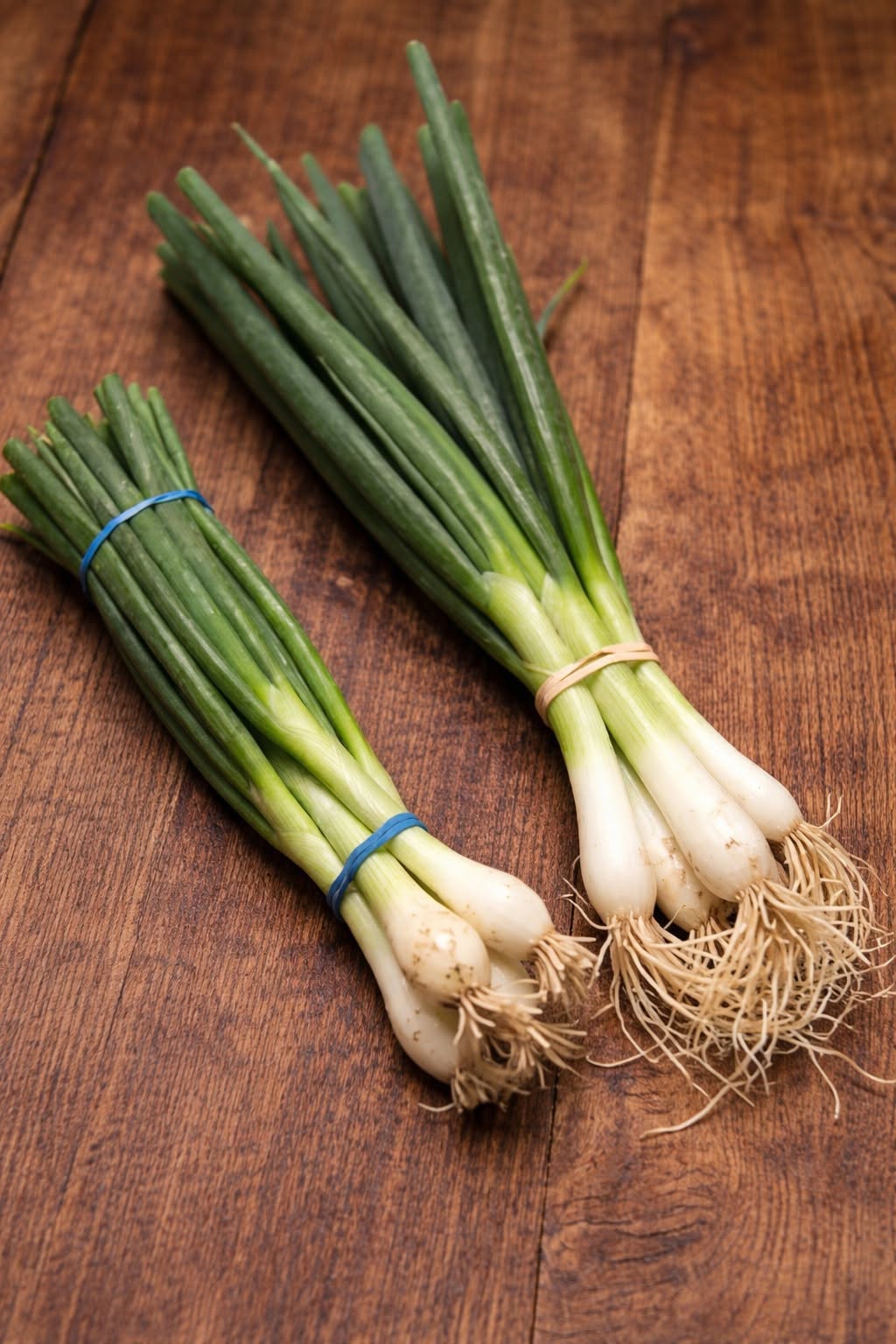 Understanding the Differences Between Scallions, Green Onions, Spring Onions, and Chives