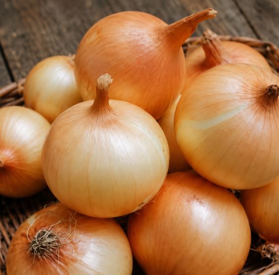 Doctors Explain the Potential Health Benefits of Adding Onions to Your Daily Diet