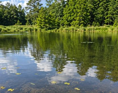 A Mysterious Lake Discovery Had a Surprisingly Simple Explanation
