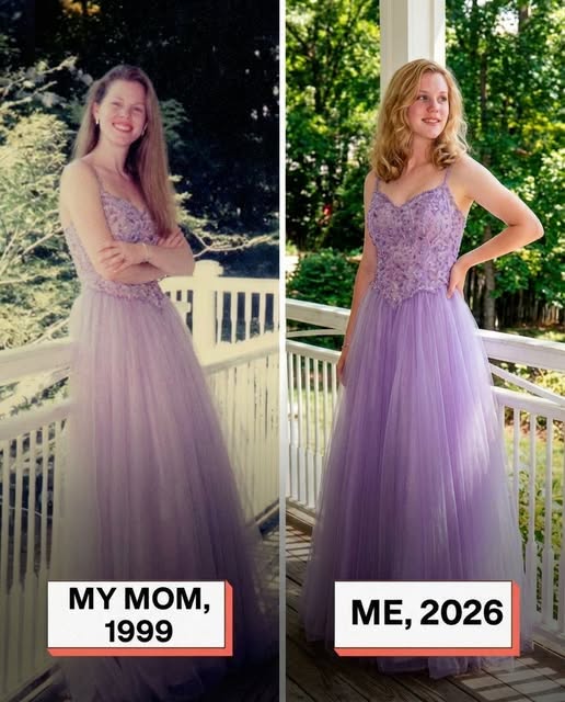 My Stepmom Damaged My Late Mother’s Prom Dress—What Happened Next Became a Memory I’ll Never Forget