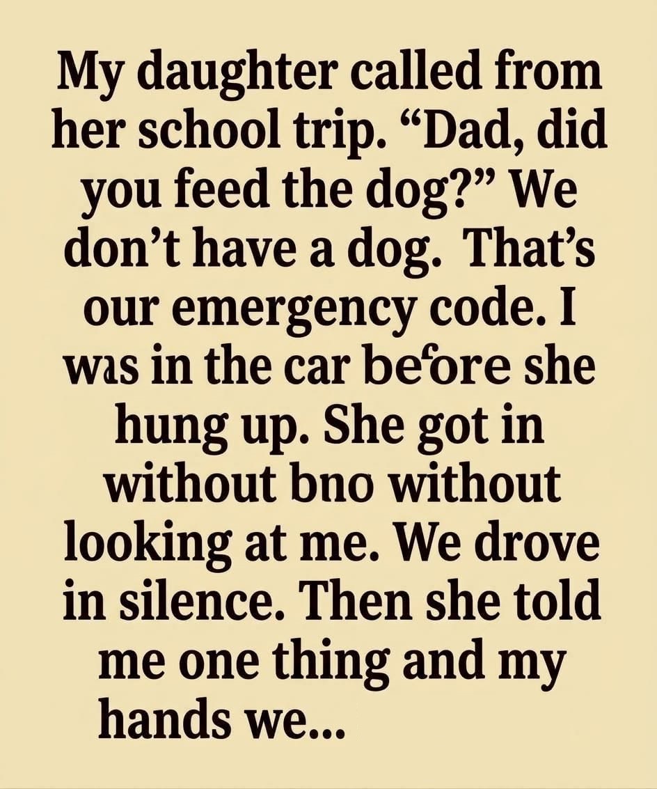 My Daughter Asked About a Dog We Didn’t Have—Our Secret Code Told Me to Come