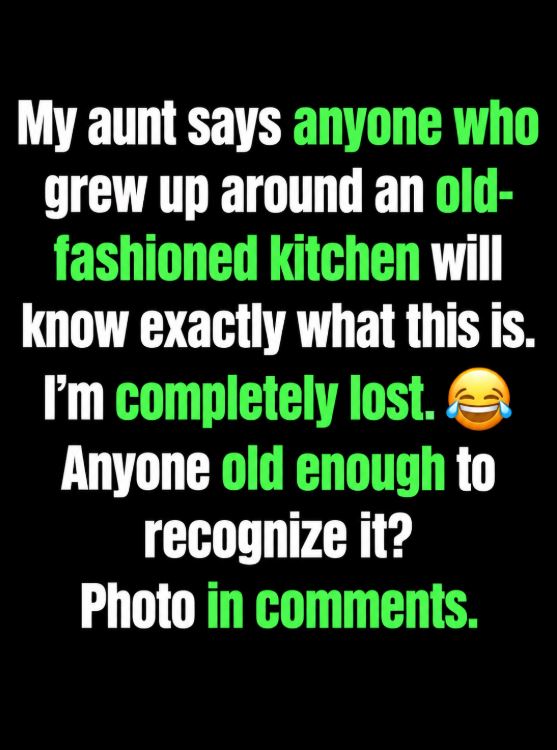 Finding an Unfamiliar Kitchen Tool in a New Home