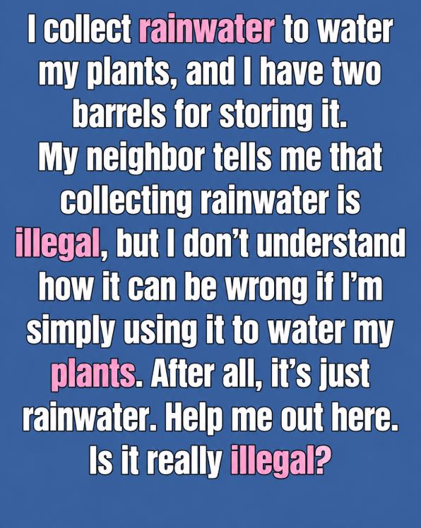 Can You Really Go to Jail for Collecting Rainwater? Here’s What the Law Actually Says
